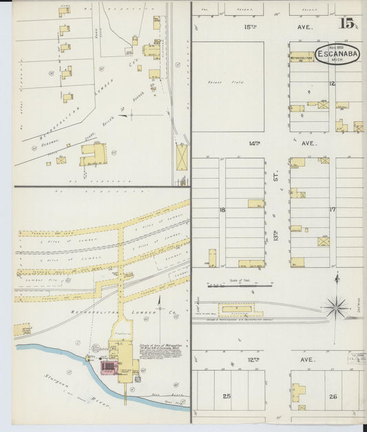 Sanborn Fire Insurance Map from Escanaba, Delta County, Michigan (1893), Sheet #0015 - Historic Sanborn Fire Insurance Map Print, vintage old map wall art, antique decor, genealogy gift, Michigan Michigan map