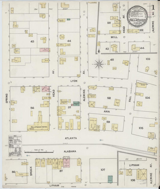 Sanborn Fire Insurance Map from Tallapoosa, Haralson County, Georgia (1890), Sheet #0001 - Complete Map Set gallery image, historic Sanborn map, vintage wall art, Georgia Georgia