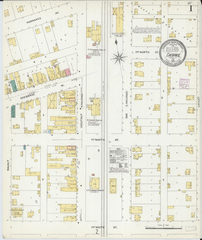Sanborn Fire Insurance Map from Chebanse, Iroquois And Kankakee County, Illinois (1907), Sheet #0001 - Historic Sanborn Fire Insurance Map Print, vintage old map wall art, antique decor, genealogy gift, Illinois Illinois map