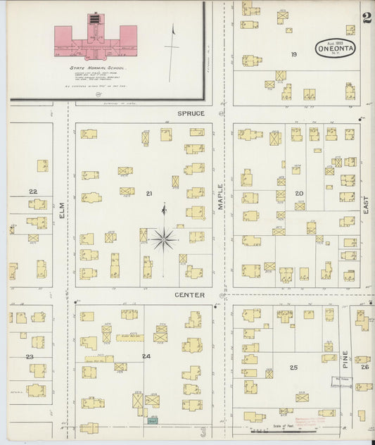 Sanborn Fire Insurance Map from Oneonta, Otsego County, New York (1893), Sheet #0002 - Historic Sanborn Fire Insurance Map Print, vintage old map wall art, antique decor, genealogy gift, New York New York map