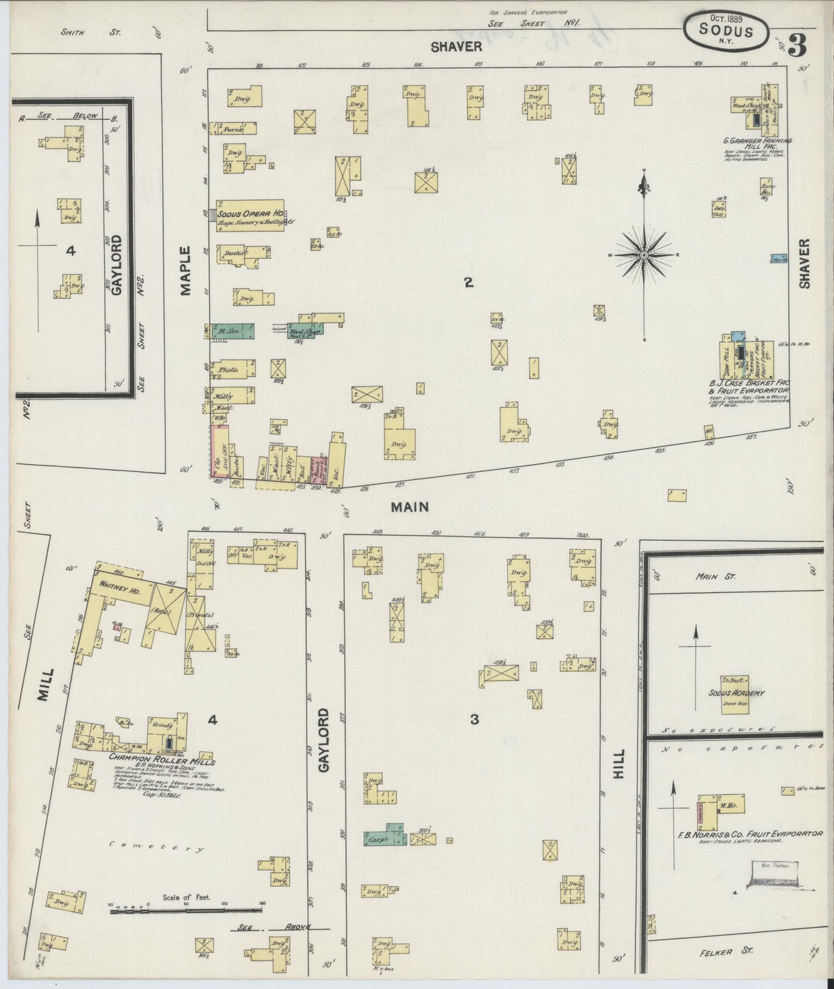 Sanborn Fire Insurance Map from Sodus, Wayne County, New York (1889), Sheet #0003 - Historic Sanborn Fire Insurance Map Print, vintage old map wall art, antique decor, genealogy gift, New York New York map
