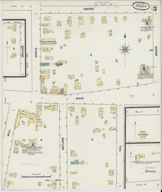 Sanborn Fire Insurance Map from Sodus, Wayne County, New York (1889), Sheet #0003 - Historic Sanborn Fire Insurance Map Print, vintage old map wall art, antique decor, genealogy gift, New York New York map