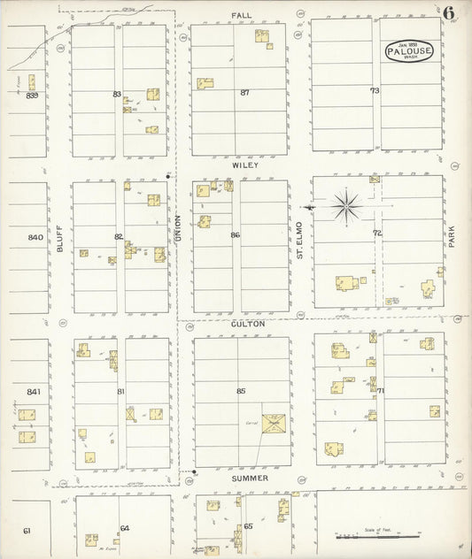 Sanborn Fire Insurance Map from Palouse City, Whitman County, Washington (1893), Sheet #0006 - Historic Sanborn Fire Insurance Map Print, vintage old map wall art, antique decor, genealogy gift, Washington Washington map