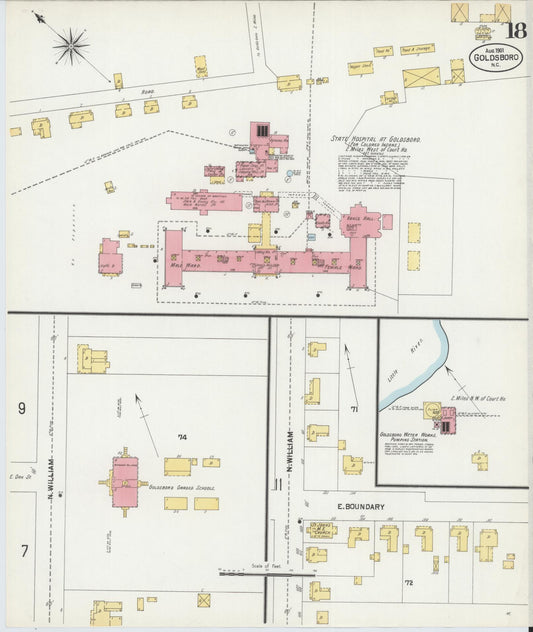 Sanborn Fire Insurance Map from Goldsboro, Wayne County, North Carolina (1901), Sheet #0018 - Historic Sanborn Fire Insurance Map Print, vintage old map wall art, antique decor, genealogy gift, North Carolina North Carolina map