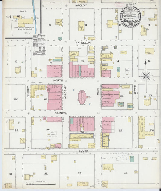 Sanborn Fire Insurance Map from Monticello, Drew County, Arkansas (1891), Sheet #0001 - Historic Sanborn Fire Insurance Map Print, vintage old map wall art, antique decor, genealogy gift, Arkansas Arkansas map