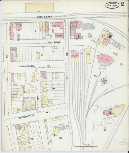 Sanborn Fire Insurance Map from Cairo, Alexander County, Illinois (1891), Sheet #0002 - Complete Map Set gallery image, historic Sanborn map, vintage wall art, Illinois Illinois