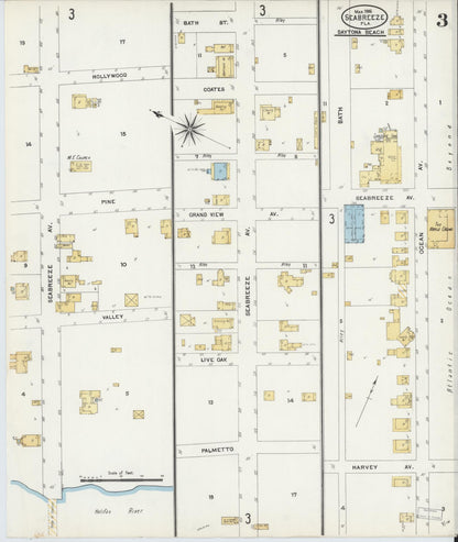 Sanborn Fire Insurance Map from Seabreeze, Volusia County, Florida (1906), Sheet #0003 - Historic Sanborn Fire Insurance Map Print, vintage old map wall art, antique decor, genealogy gift, Florida Florida map