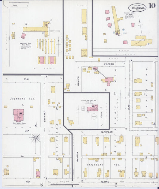 Sanborn Fire Insurance Map from Taylorville, Christian County, Illinois (1899), Sheet #0010 - Historic Sanborn Fire Insurance Map Print, vintage old map wall art, antique decor, genealogy gift, Illinois Illinois map