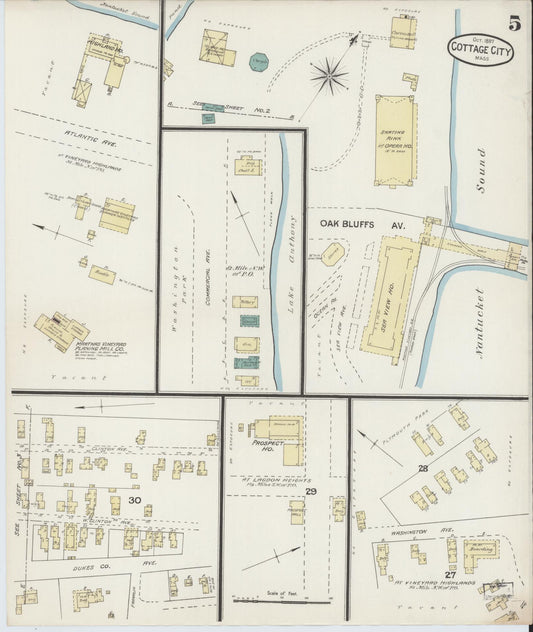 Sanborn Fire Insurance Map from Cottage City, Dukes County, Massachusetts (1887), Sheet #0005 - Historic Sanborn Fire Insurance Map Print, vintage old map wall art, antique decor, genealogy gift, Massachusetts Massachusetts map