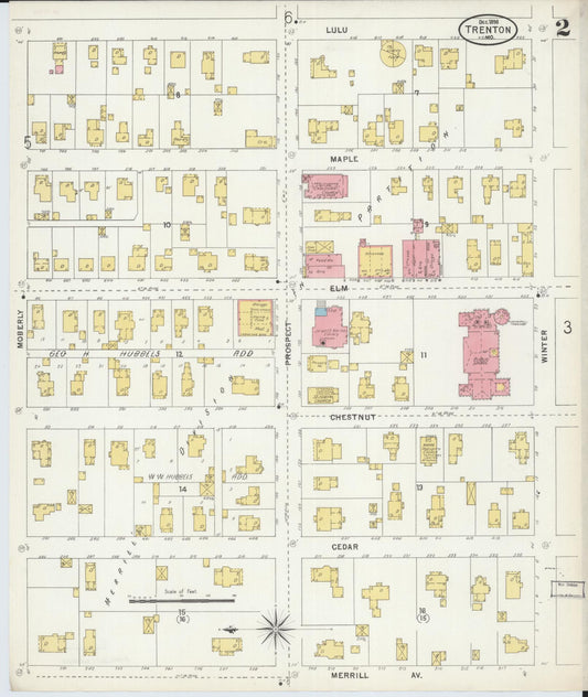 Sanborn Fire Insurance Map from Trenton, Grundy County, Missouri (1898), Sheet #0002 - Historic Sanborn Fire Insurance Map Print, vintage old map wall art, antique decor, genealogy gift, Missouri Missouri map