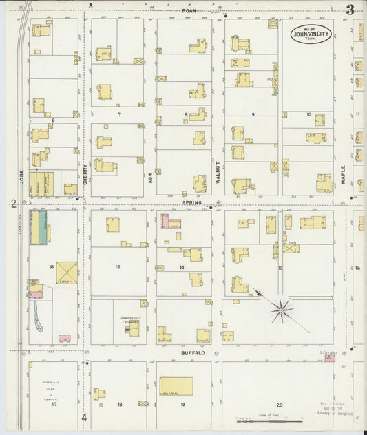 Sanborn Fire Insurance Map from Johnson City, Washington County, Tennessee (1897), Sheet #0003 - Historic Sanborn Fire Insurance Map Print, vintage old map wall art, antique decor, genealogy gift, Tennessee Tennessee map