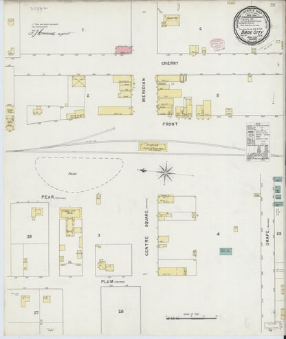 Sanborn Fire Insurance Map from Dade City, Pasco County, Florida (1895), Sheet #0001 - Historic Sanborn Fire Insurance Map Print, vintage old map wall art, antique decor, genealogy gift, Florida Florida map