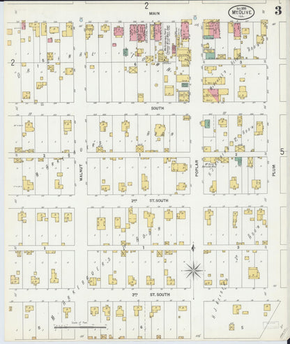Sanborn Fire Insurance Map from Mount Olive, Macoupin County, Illinois (1899), Sheet #0003 - Complete Map Set gallery image, historic Sanborn map, vintage wall art, Illinois Illinois