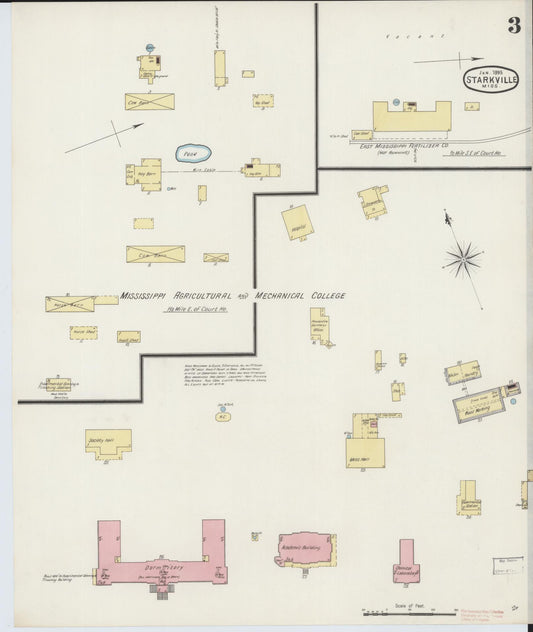 Sanborn Fire Insurance Map from Starkville, Oktibbeha County, Mississippi (1895), Sheet #0003 - Historic Sanborn Fire Insurance Map Print, vintage old map wall art, antique decor, genealogy gift, Mississippi Mississippi map