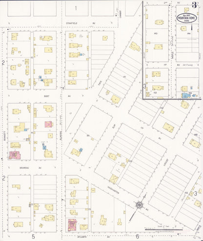 Sanborn Fire Insurance Map from Mountain Home, Elmore County, Idaho (1920), Sheet #0003 - Complete Map Set gallery image, historic Sanborn map, vintage wall art, Idaho Idaho