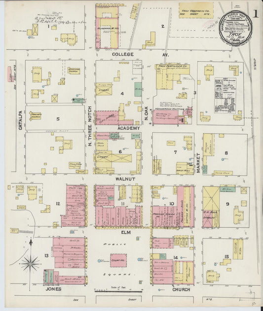 Sanborn Fire Insurance Map from Troy, Pike County, Alabama (1891), Sheet #0001 - Historic Sanborn Fire Insurance Map Print, vintage old map wall art, antique decor, genealogy gift, Alabama Alabama map