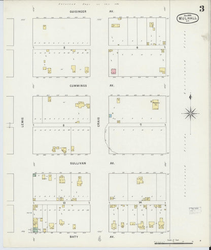 Sanborn Fire Insurance Map from Mulhall, Logan County, Oklahoma (1895), Sheet #0003 - Complete Map Set gallery image, historic Sanborn map, vintage wall art, Oklahoma Oklahoma