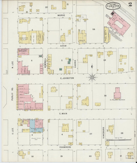 Sanborn Fire Insurance Map from Forsyth, Monroe County, Georgia (1895), Sheet #0002 - Historic Sanborn Fire Insurance Map Print, vintage old map wall art, antique decor, genealogy gift, Georgia Georgia map