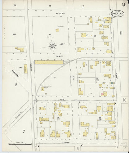 Sanborn Fire Insurance Map from Palatka, Putnam County, Florida (1897), Sheet #0009 - Historic Sanborn Fire Insurance Map Print, vintage old map wall art, antique decor, genealogy gift, Florida Florida map