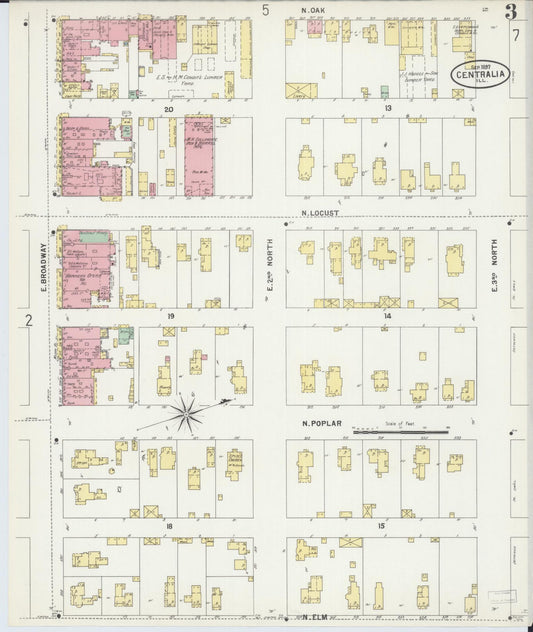 Sanborn Fire Insurance Map from Centralia, Marion, Clinton, Jefferson, and Washington Counties, Illinois (1897), Sheet #0003 - Historic Sanborn Fire Insurance Map Print, vintage old map wall art, antique decor, genealogy gift, Illinois Illinois map