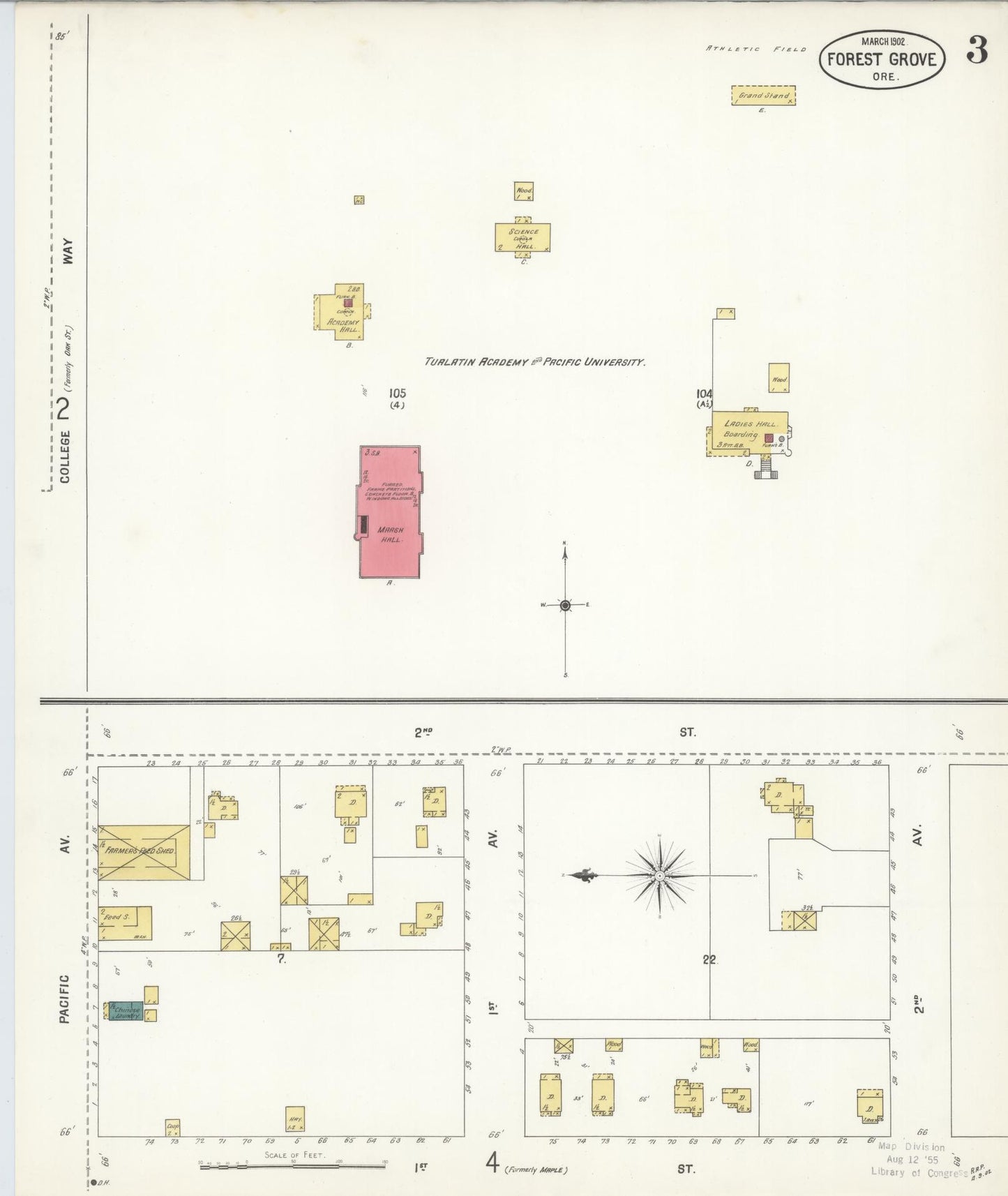 Sanborn Fire Insurance Map from Forest Grove, Washington County, Oregon (1902), Sheet #0003 - Historic Sanborn Fire Insurance Map Print, vintage old map wall art, antique decor, genealogy gift, Oregon Oregon map