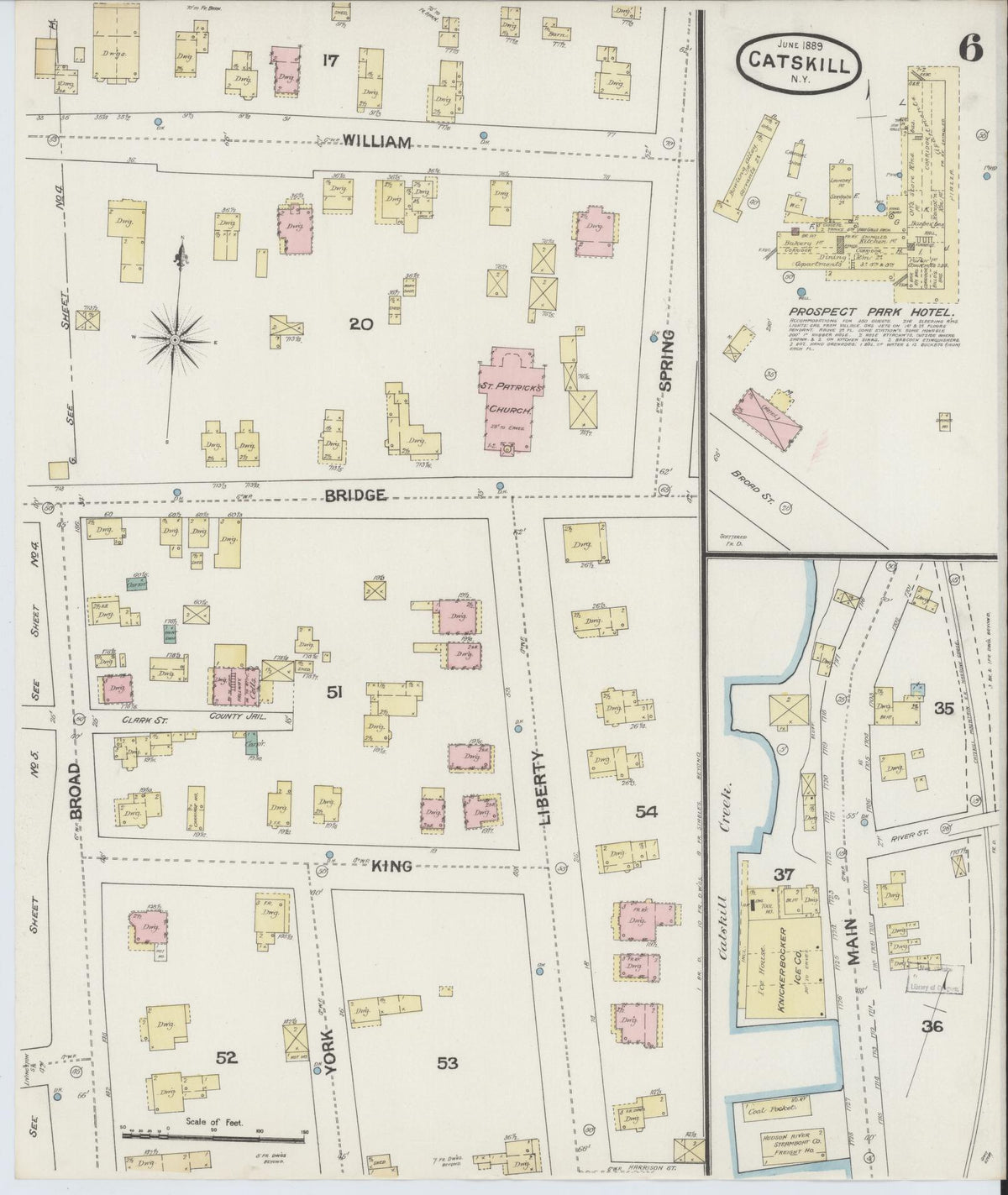 Sanborn Fire Insurance Map from Catskill, Greene County, New York (1889), Sheet #0006 - Historic Sanborn Fire Insurance Map Print, vintage old map wall art, antique decor, genealogy gift, New York New York map
