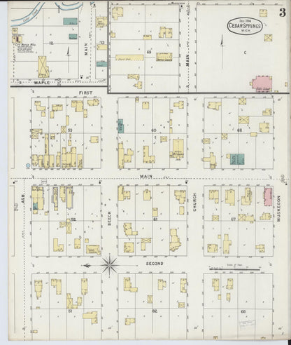 Sanborn Fire Insurance Map from Cedar Springs, Kent County, Michigan (1894), Sheet #0003 - Historic Sanborn Fire Insurance Map Print, vintage old map wall art, antique decor, genealogy gift, Michigan Michigan map