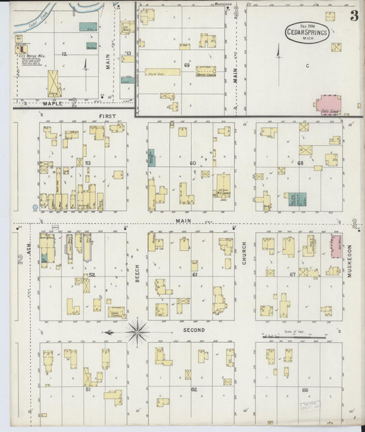 Sanborn Fire Insurance Map from Cedar Springs, Kent County, Michigan (1894), Sheet #0003 - Historic Sanborn Fire Insurance Map Print, vintage old map wall art, antique decor, genealogy gift, Michigan Michigan map