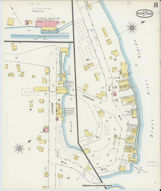 Sanborn Fire Insurance Map from Carthage, Jefferson County, New York (1895), Sheet #0008 - Historic Sanborn Fire Insurance Map Print, vintage old map wall art, antique decor, genealogy gift, New York New York map