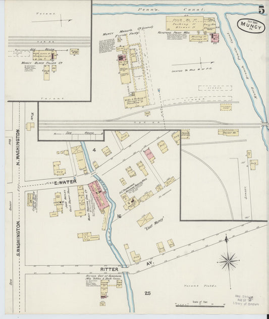 Sanborn Fire Insurance Map from Muncy, Lycoming County, Pennsylvania (1890), Sheet #0005 - Historic Sanborn Fire Insurance Map Print, vintage old map wall art, antique decor, genealogy gift, Pennsylvania Pennsylvania map