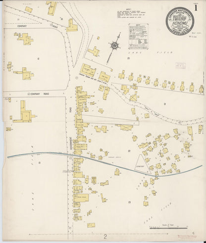 Sanborn Fire Insurance Map from Honomu, Hawaii County, Hawaii (1914), Sheet #0001 - Historic Sanborn Fire Insurance Map Print, vintage old map wall art, antique decor, genealogy gift, Honomu Hawaii map