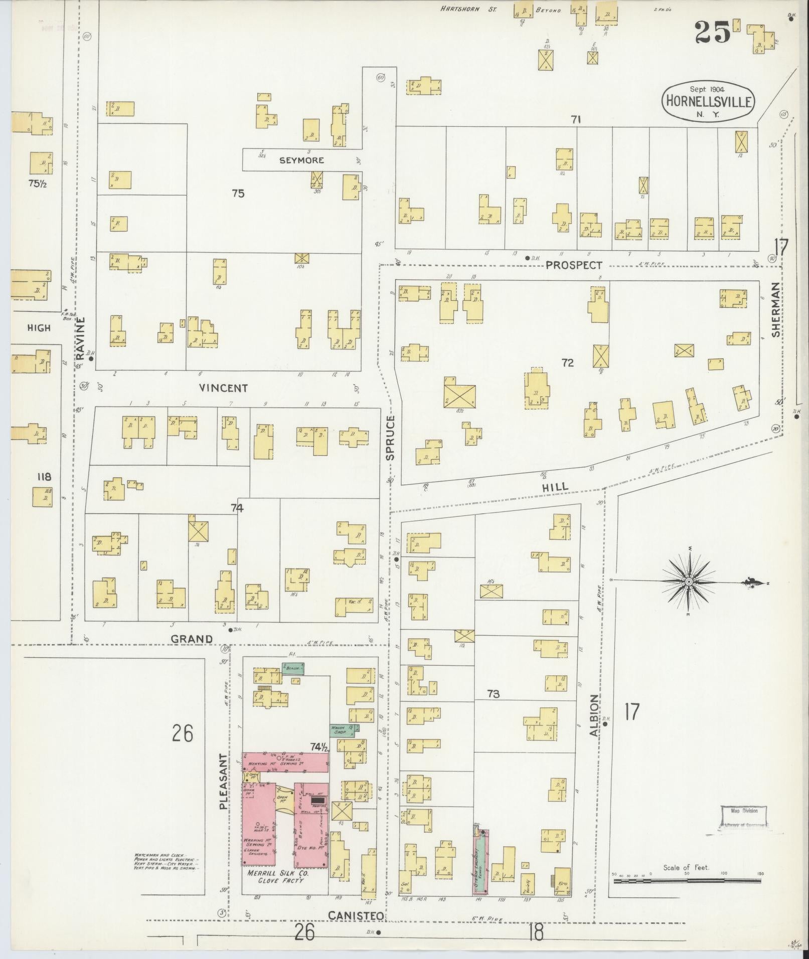 Sanborn Fire Insurance Map from Hornell, Steuben County, New York (1904), Sheet #0025 - Historic Sanborn Fire Insurance Map Print, vintage old map wall art, antique decor, genealogy gift, New York New York map