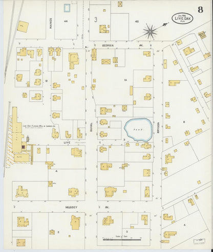 Sanborn Fire Insurance Map from Live Oak, Suwanee County, Florida (1906), Sheet #0008 - Complete Map Set gallery image, historic Sanborn map, vintage wall art, Florida Florida