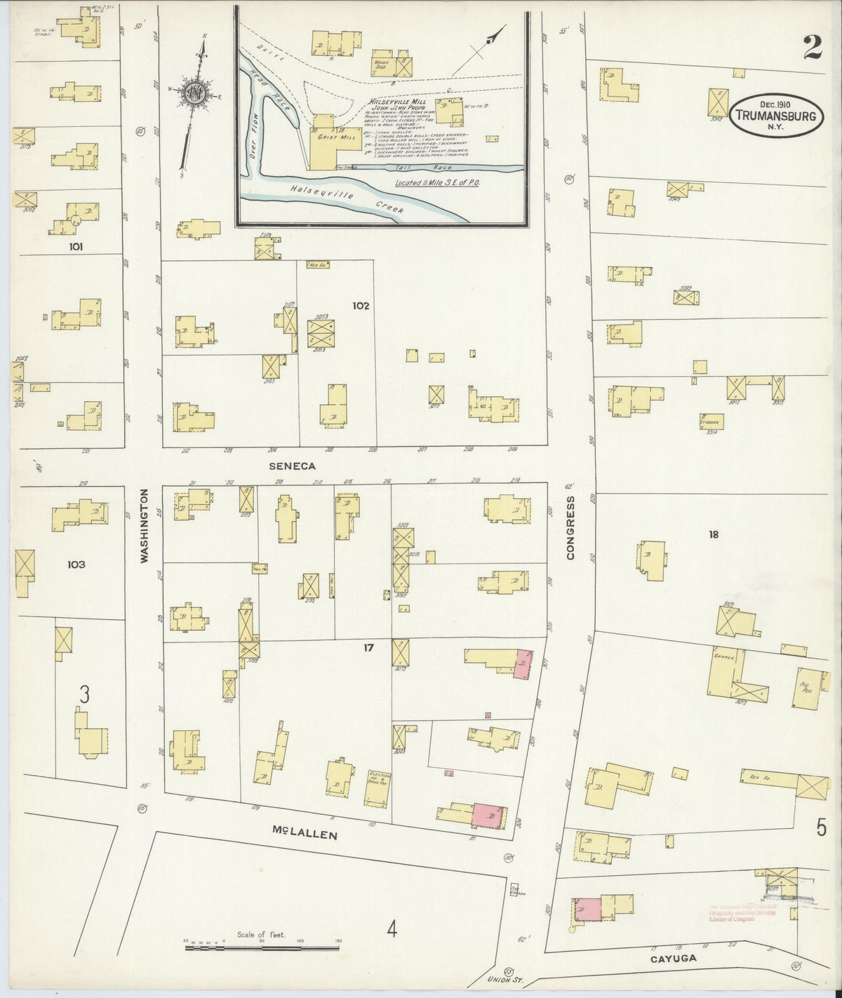 Sanborn Fire Insurance Map from Trumansburg, Tompkins County, New York (1910), Sheet #0002 - Historic Sanborn Fire Insurance Map Print, vintage old map wall art, antique decor, genealogy gift, New York New York map