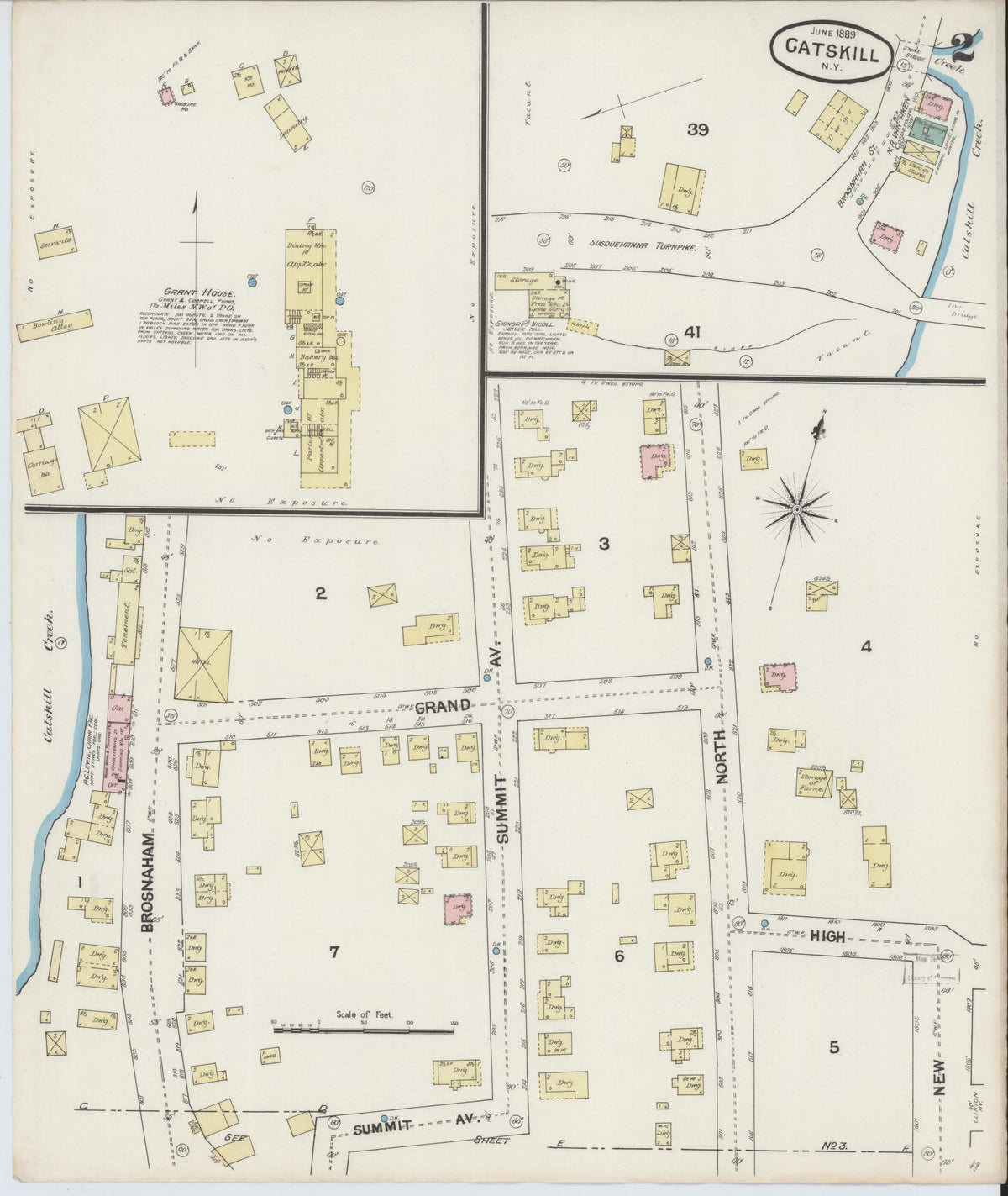 Sanborn Fire Insurance Map from Catskill, Greene County, New York (1889), Sheet #0002 - Historic Sanborn Fire Insurance Map Print, vintage old map wall art, antique decor, genealogy gift, New York New York map
