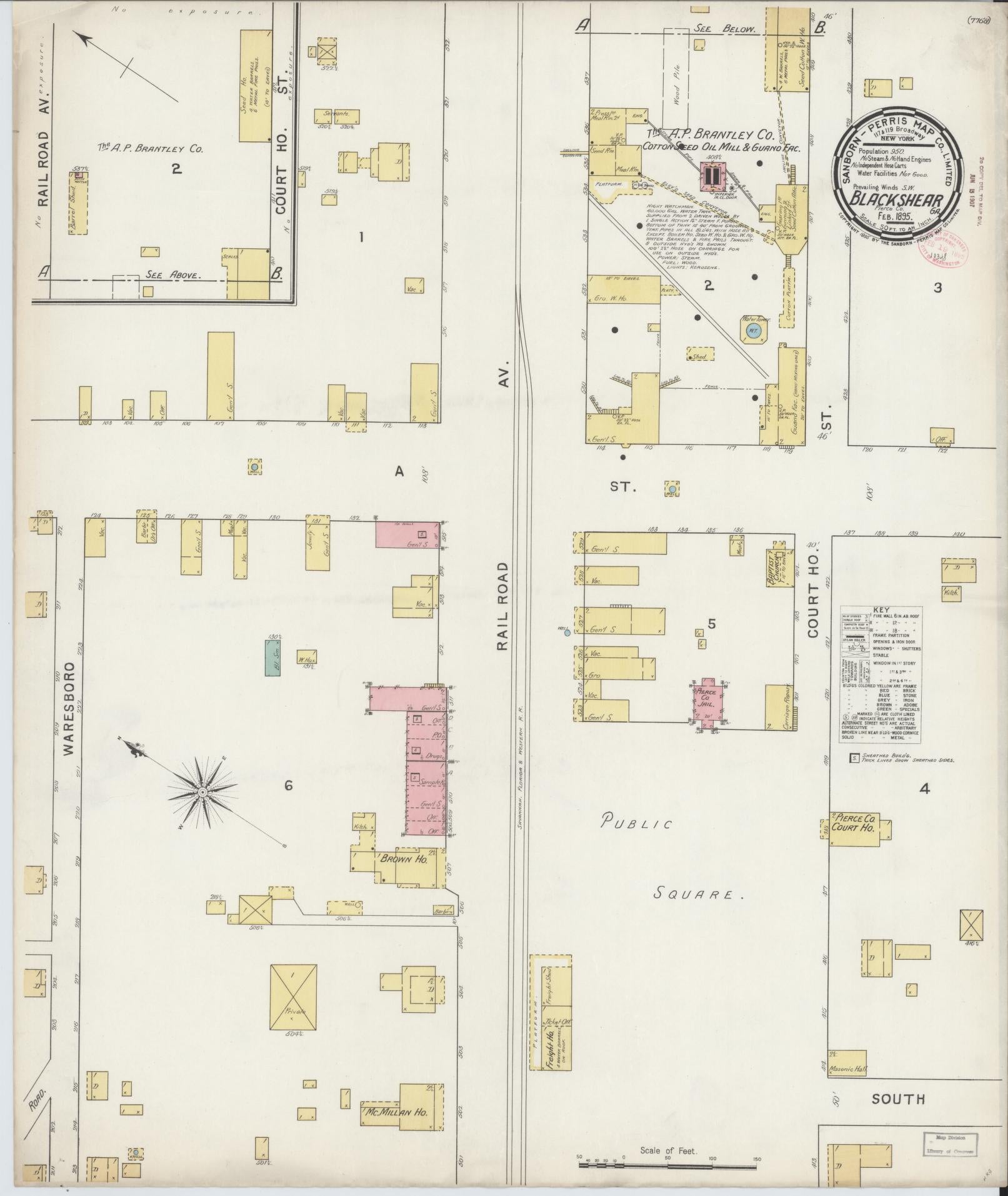 Sanborn Fire Insurance Map from Blackshear, Pierce County, Georgia (1895), Sheet #0001 - Historic Sanborn Fire Insurance Map Print, vintage old map wall art, antique decor, genealogy gift, Georgia Georgia map