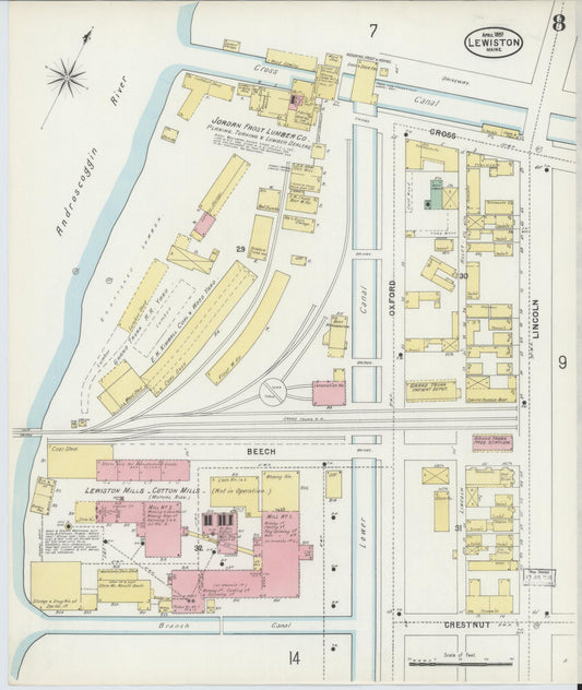 Sanborn Fire Insurance Map from Lewiston, Androscoggin County, Maine (1897), Sheet #0008 - Historic Sanborn Fire Insurance Map Print, vintage old map wall art, antique decor, genealogy gift, Maine Maine map