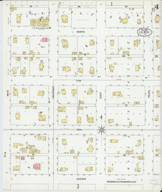 Sanborn Fire Insurance Map from Leroy, McLean County, Illinois (1899), Sheet #0004 - Historic Sanborn Fire Insurance Map Print, vintage old map wall art, antique decor, genealogy gift, Illinois Illinois map