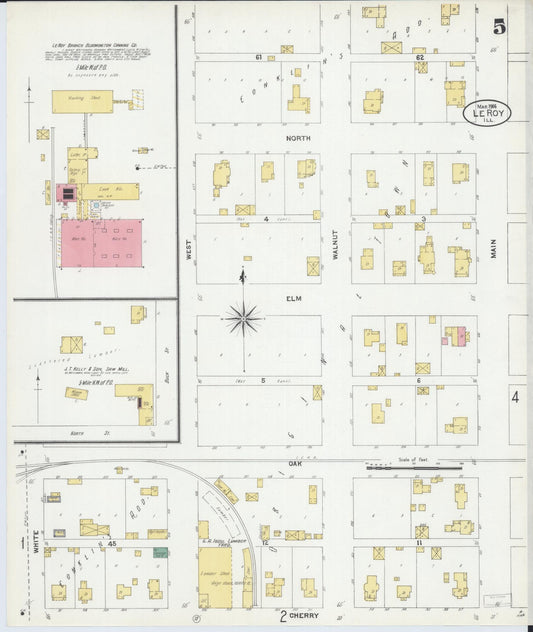 Sanborn Fire Insurance Map from Leroy, McLean County, Illinois (1906), Sheet #0005 - Historic Sanborn Fire Insurance Map Print, vintage old map wall art, antique decor, genealogy gift, Illinois Illinois map