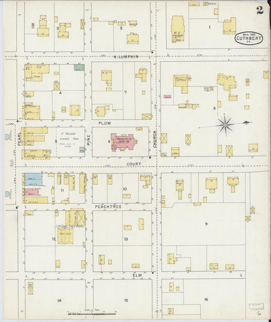 Sanborn Fire Insurance Map from Cuthbert, Randolph County, Georgia (1895), Sheet #0002 - Historic Sanborn Fire Insurance Map Print, vintage old map wall art, antique decor, genealogy gift, Georgia Georgia map
