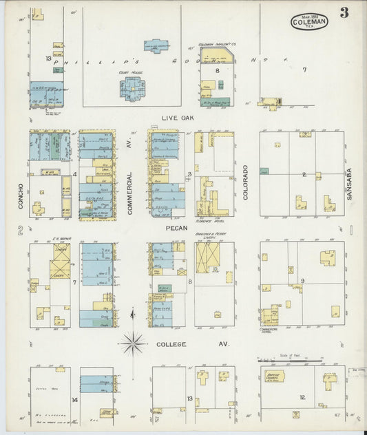 Sanborn Fire Insurance Map from Coleman, Coleman County, Texas (1893), Sheet #0003 - Historic Sanborn Fire Insurance Map Print, vintage old map wall art, antique decor, genealogy gift, Texas Texas map