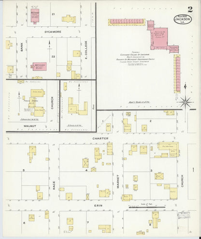 Sanborn Fire Insurance Map from Jackson, East Feliciana Parish, Louisiana (1908), Sheet #0002 - Complete Map Set gallery image, historic Sanborn map, vintage wall art, Louisiana Louisiana