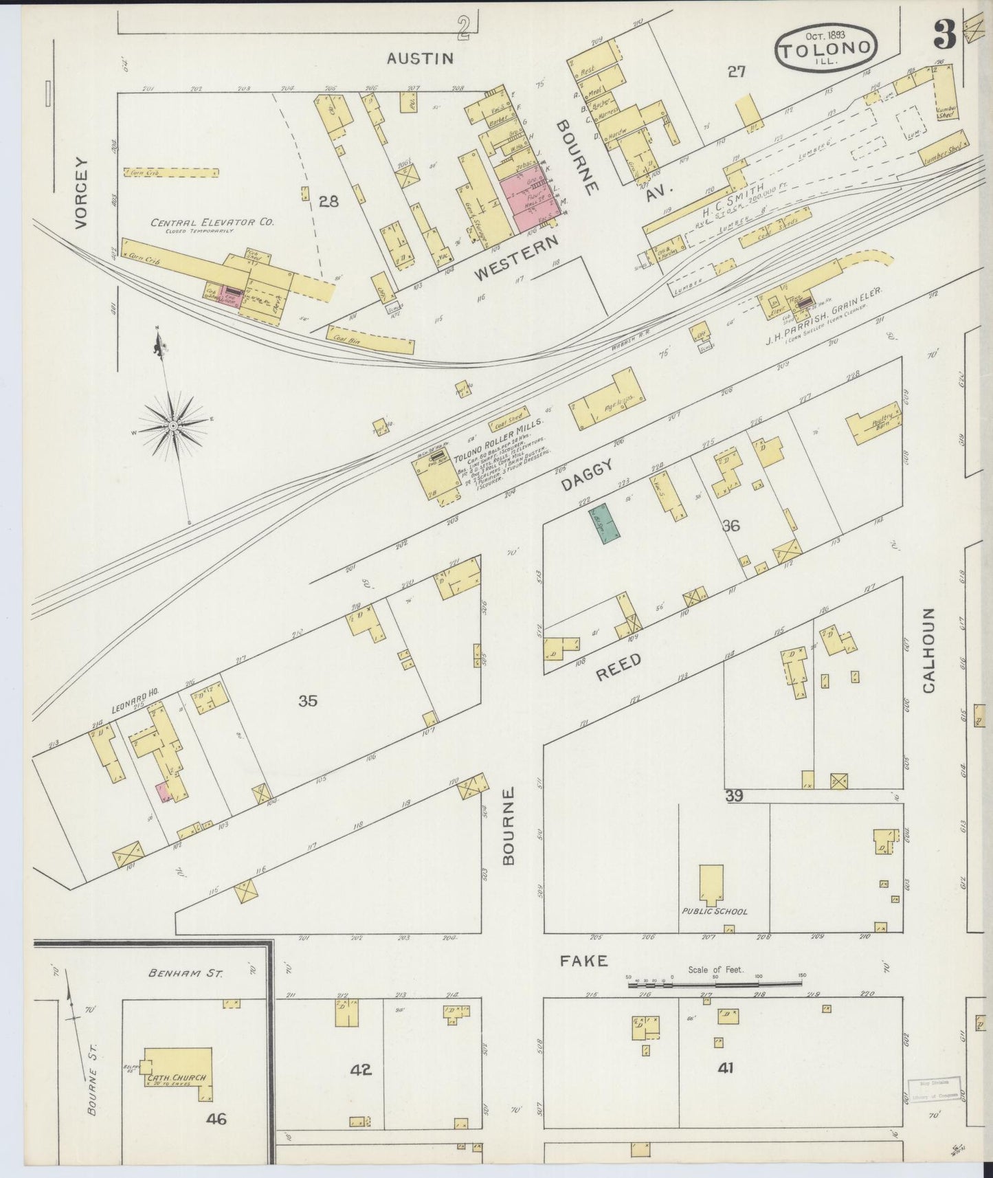 Sanborn Fire Insurance Map from Tolono, Champaign County, Illinois (1893), Sheet #0003 - Historic Sanborn Fire Insurance Map Print, vintage old map wall art, antique decor, genealogy gift, Illinois Illinois map