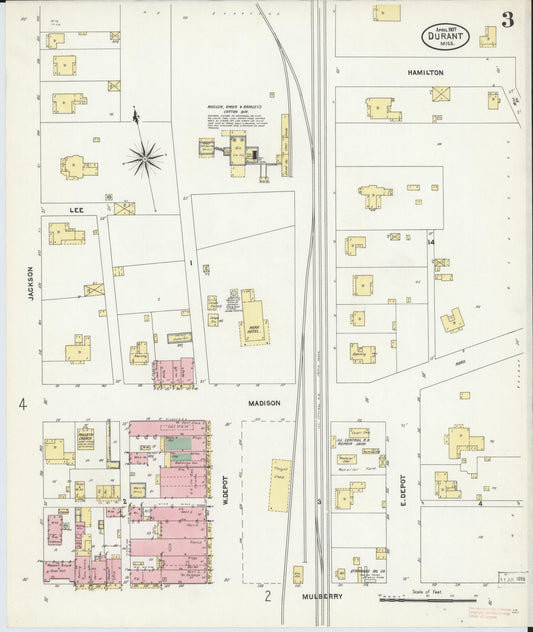Sanborn Fire Insurance Map from Durant, Holmes County, Mississippi (1907), Sheet #0003 - Historic Sanborn Fire Insurance Map Print, vintage old map wall art, antique decor, genealogy gift, Mississippi Mississippi map