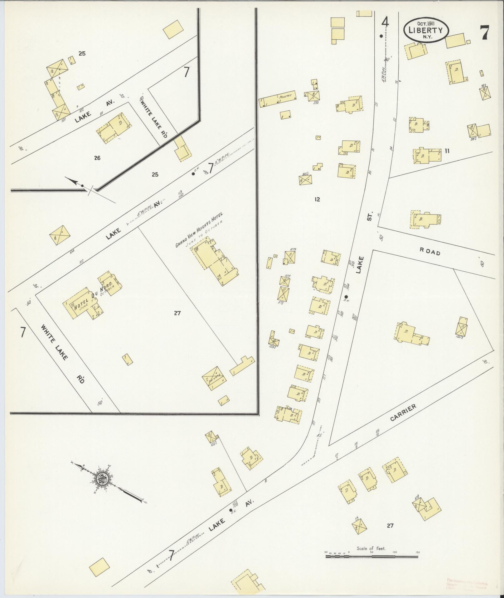 Sanborn Fire Insurance Map from Liberty, Sullivan County, New York (1911), Sheet #0007 - Historic Sanborn Fire Insurance Map Print, vintage old map wall art, antique decor, genealogy gift, New York New York map