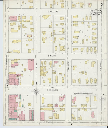 Sanborn Fire Insurance Map from Owosso, Shiawassee County, Michigan (1894), Sheet #0003 - Historic Sanborn Fire Insurance Map Print, vintage old map wall art, antique decor, genealogy gift, Michigan Michigan map