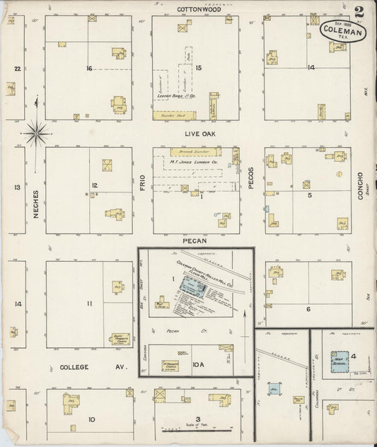 Sanborn Fire Insurance Map from Coleman, Coleman County, Texas (1888), Sheet #0002 - Historic Sanborn Fire Insurance Map Print, vintage old map wall art, antique decor, genealogy gift, Texas Texas map
