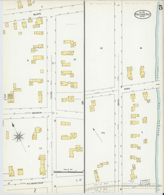 Sanborn Fire Insurance Map from Presque Isle, Aroostook County, Maine (1903), Sheet #0005 - Historic Sanborn Fire Insurance Map Print, vintage old map wall art, antique decor, genealogy gift, Maine Maine map