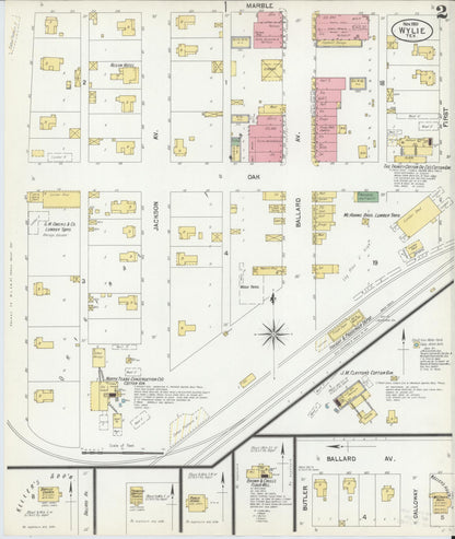 Sanborn Fire Insurance Map from Wolfe City, Hunt County, Texas (1901), Sheet #0002 - Historic Sanborn Fire Insurance Map Print, vintage old map wall art, antique decor, genealogy gift, Texas Texas map
