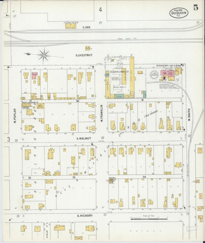 Sanborn Fire Insurance Map from Du Quoin, Perry County, Illinois (1900), Sheet #0005 - Historic Sanborn Fire Insurance Map Print, vintage old map wall art, antique decor, genealogy gift, Illinois Illinois map